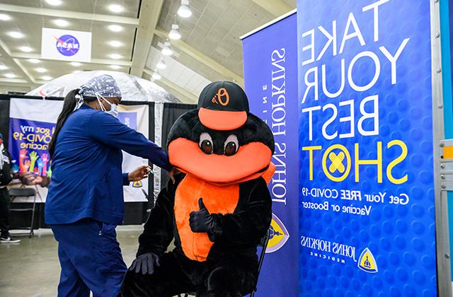 The Baltimore Orioles mascot gets a COVID-19 vaccine. 